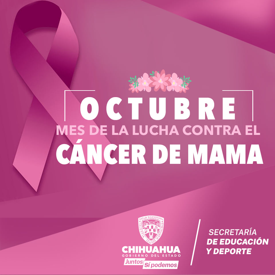 Octubre Mes De La Lucha Contra El Cancer De Mama Unidad De Género Derechos Humanos Y